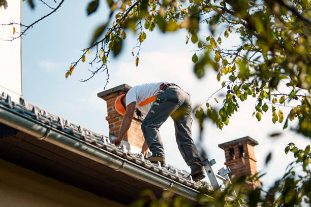 Best Local Roofing Companies  in Delshire, OH