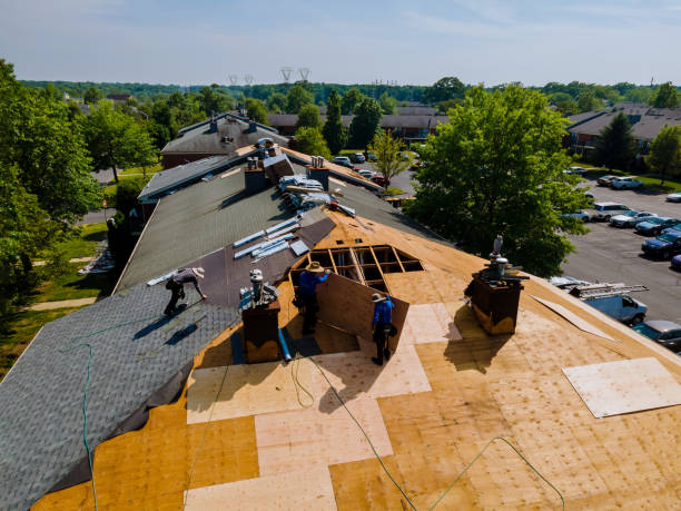 Roof Gutter Cleaning in Delshire, OH