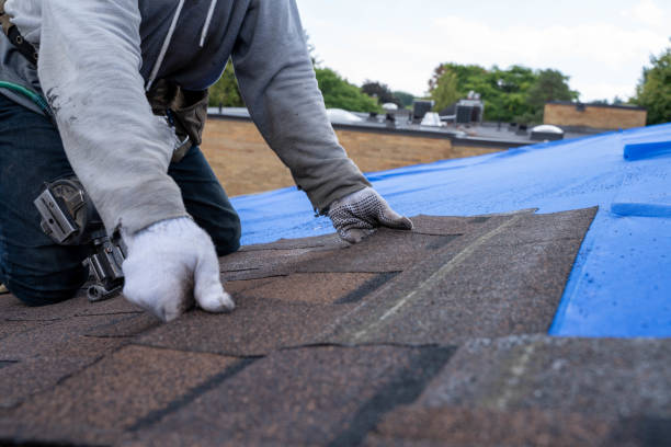 Best Commercial Roofing Services  in Delshire, OH