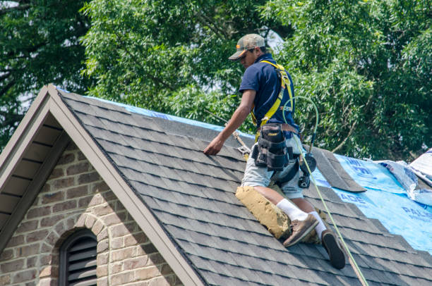 Best Storm Damage Roof Repair  in Delshire, OH
